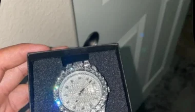 Moissanite Diamond Watch Iced Out Watch Stainless Steel