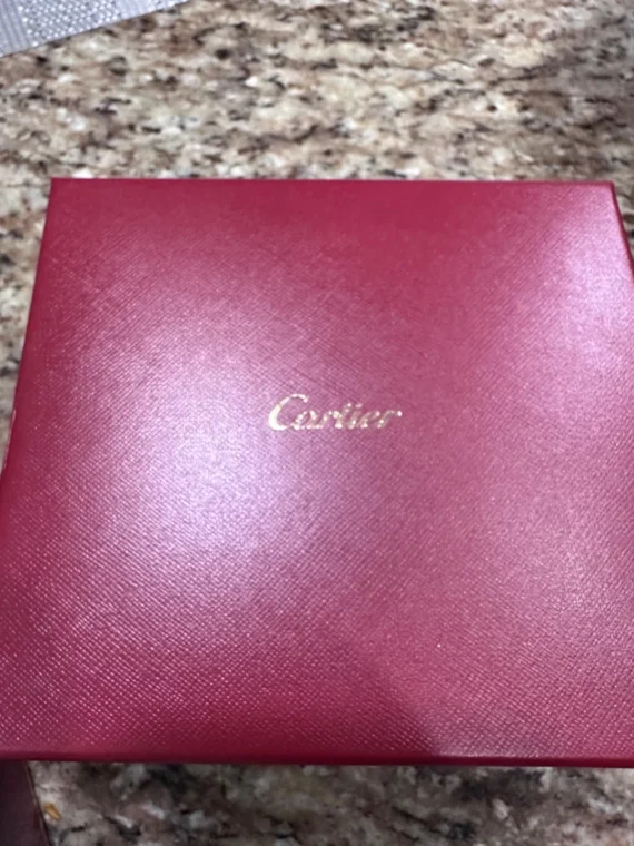cartier santos 41mm steel iced out watch